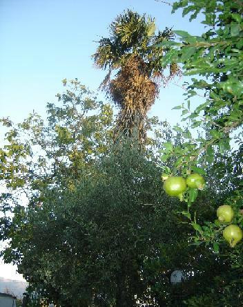 B&B Misghecchino主图