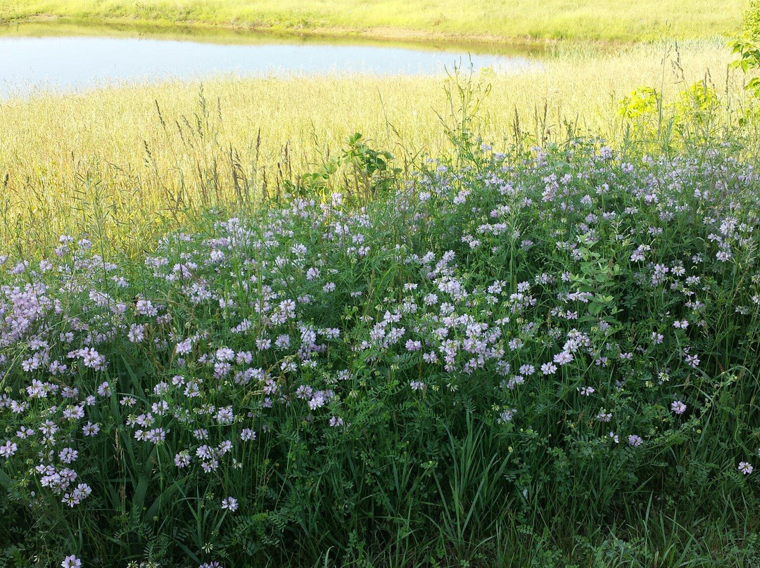 Sleepy Creek Mountain Inn主图