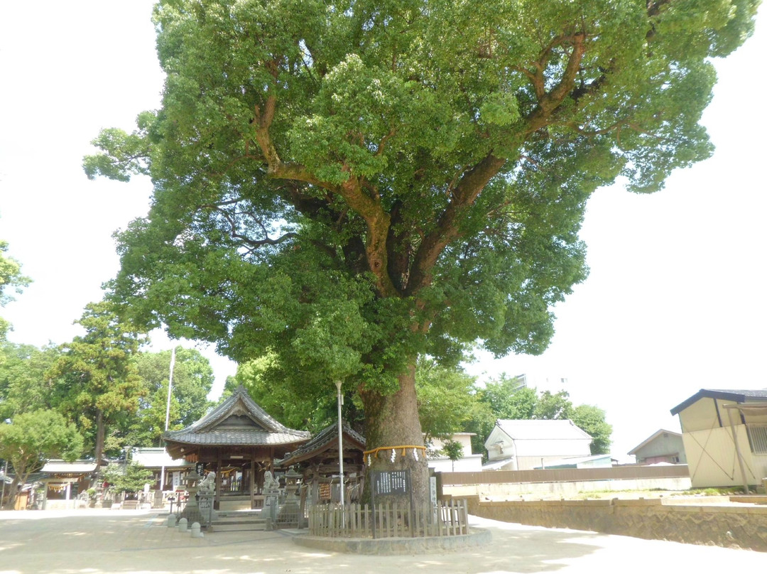 Koromo Shrine-丰田市必去景点