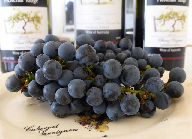 McKellar Ridge Wines景点图片