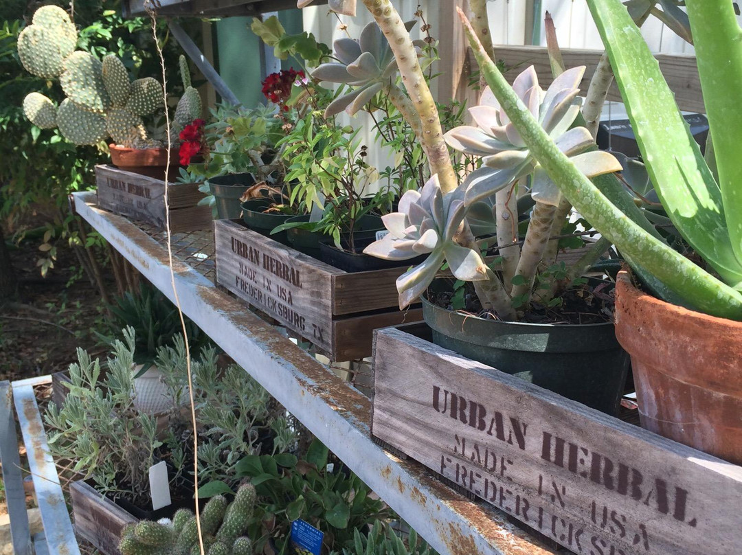 URBANherbal-弗雷德里克斯堡必去景点