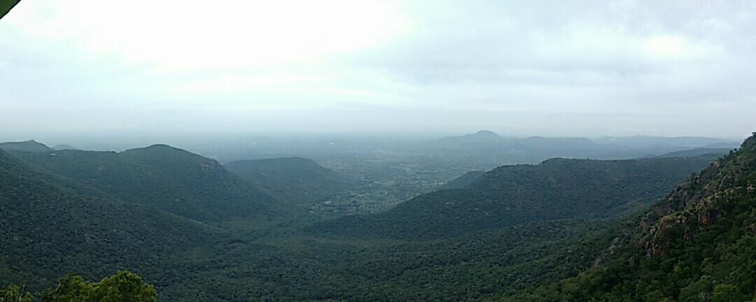 Karadiyur View Point景点图片
