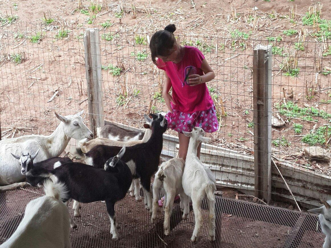 Cheese Farm & Lodge-Mtubatuba必去景点