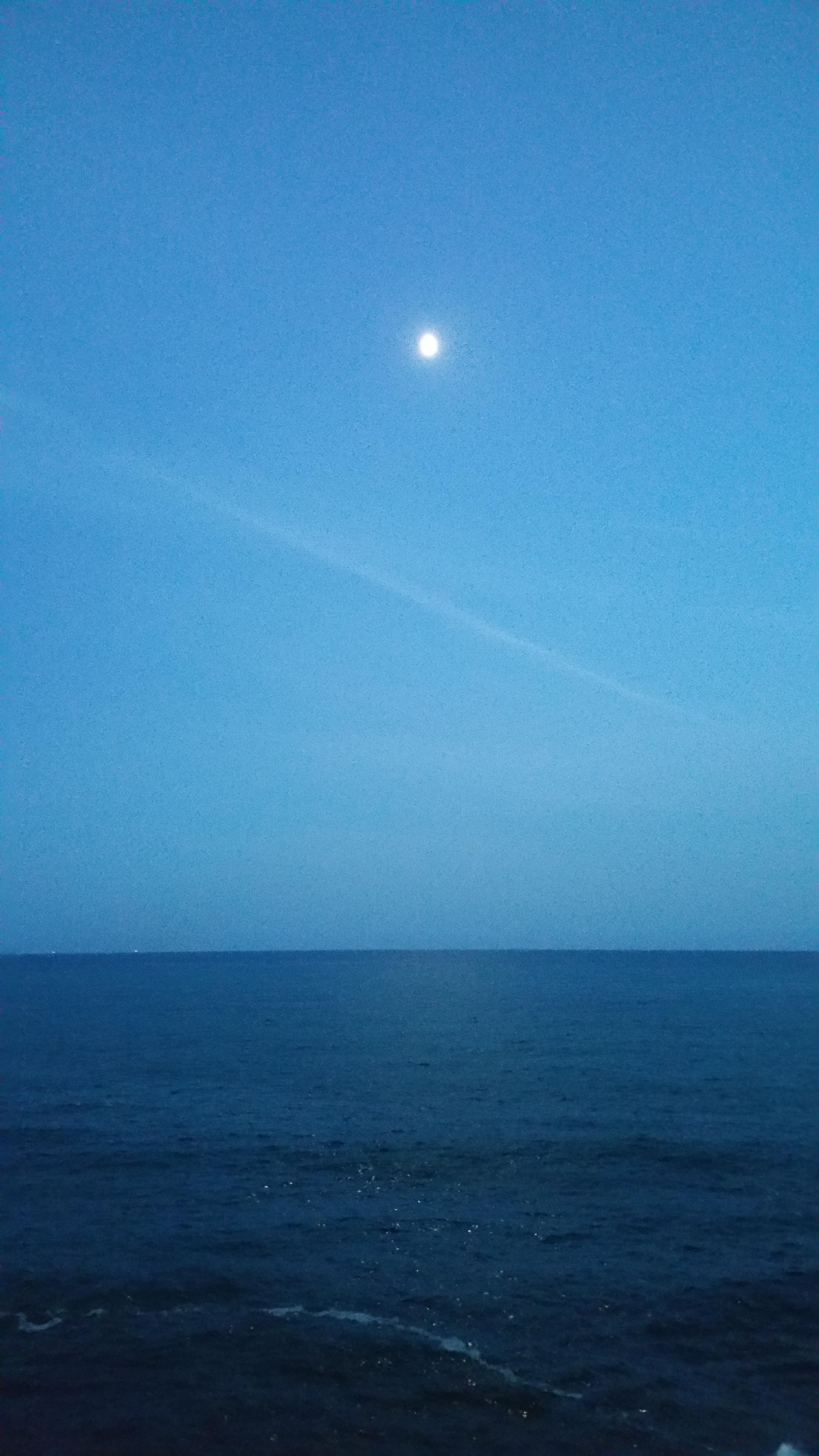 B&B Villini Albaro-客卧