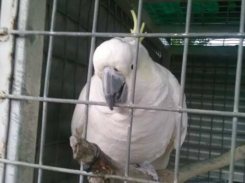 Midgee旅游攻略图片