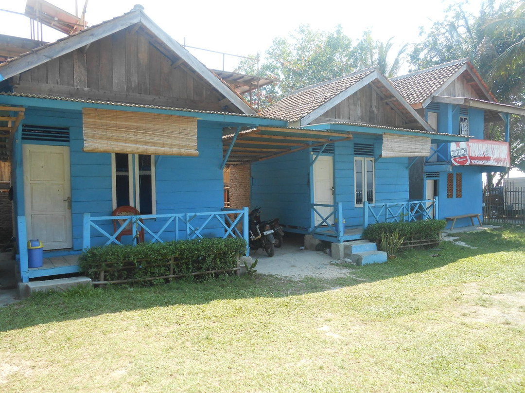 Surf Camp Krui "Tapokan Indah"