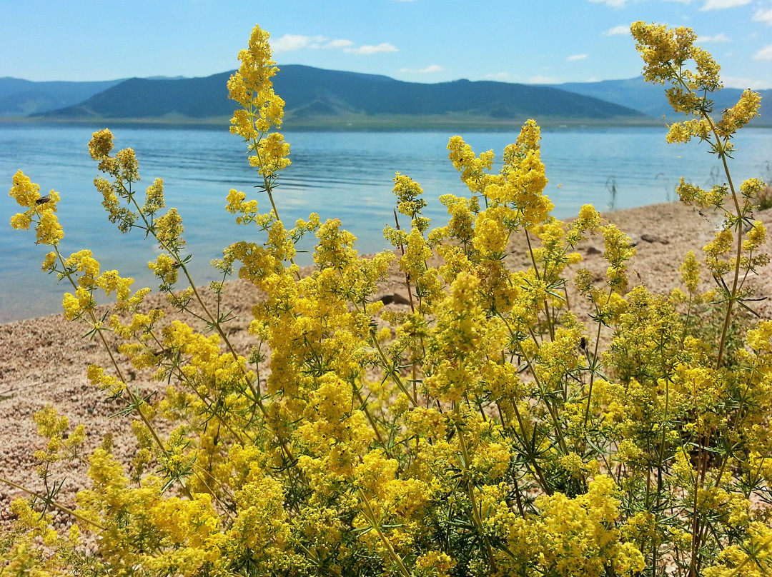 Terkhiin Tsagaan Nuur National Park-Khorgo必去景点