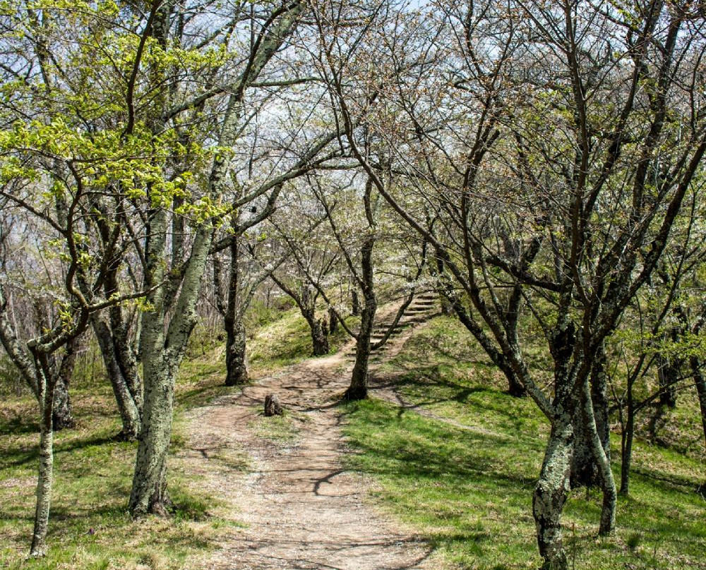 Mt. Hikarujo景点图片