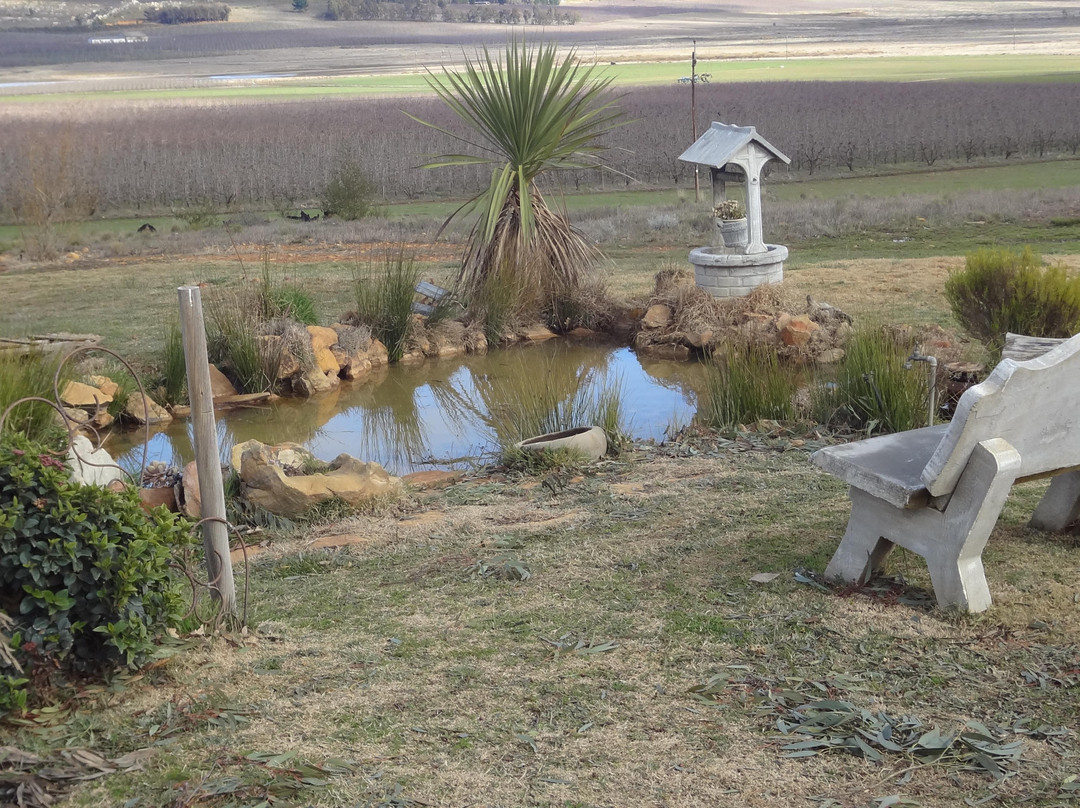 Matroosberg Nature Reserve景点图片