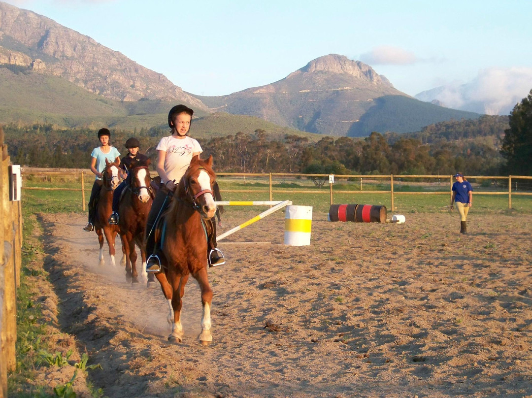 Pony Joy Rides-惠灵顿必去景点