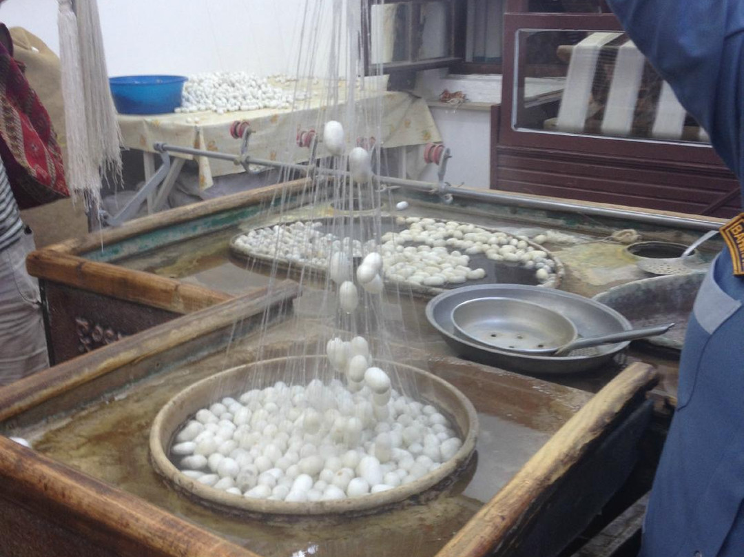 Sentez Avanos Hali - Rug Workshop & Store-阿瓦诺斯必去景点