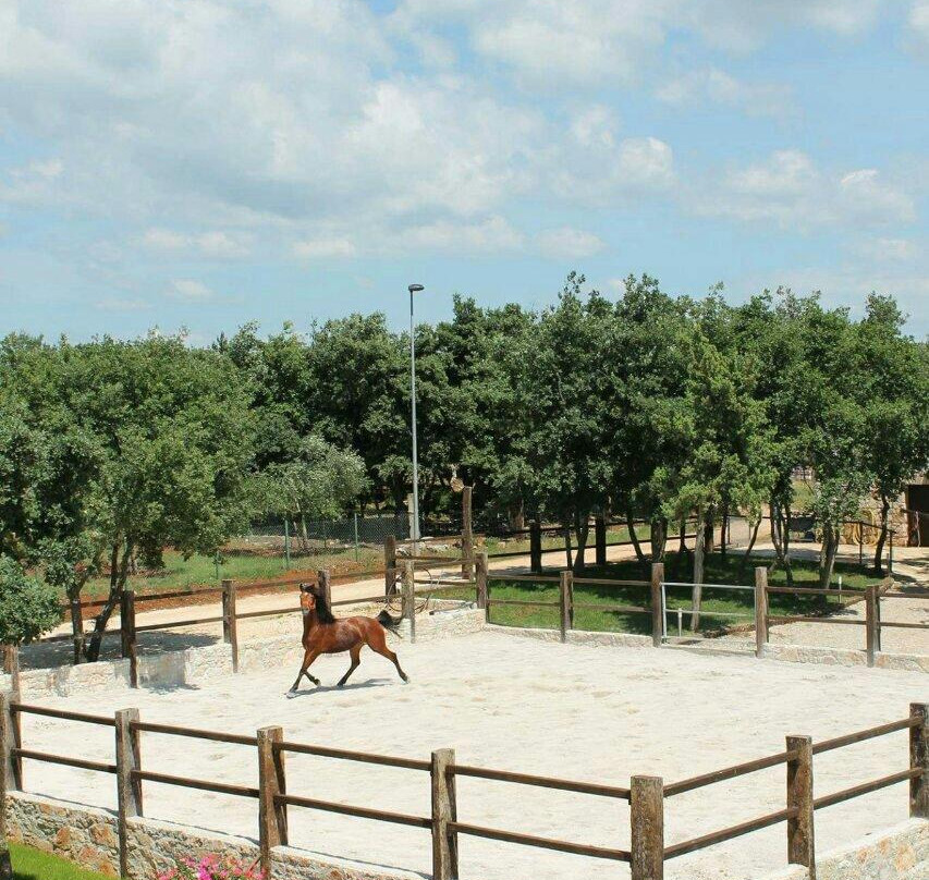 Konjicki klub Jakici Horse Riding-Sveti Lovrec必去景点