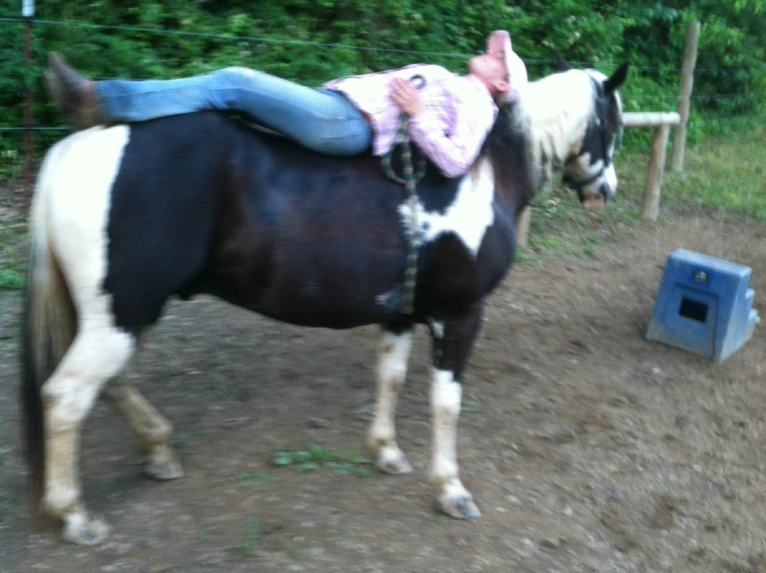 Grey Wolf Ranch-Allons必去景点