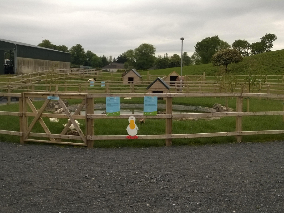 Mollie Moo's Pet Farm-Mullingar必去景点