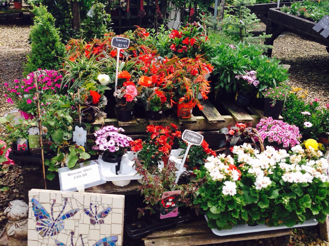 Whitlenge Garden, Tea Room and gift shop-Hartlebury必去景点