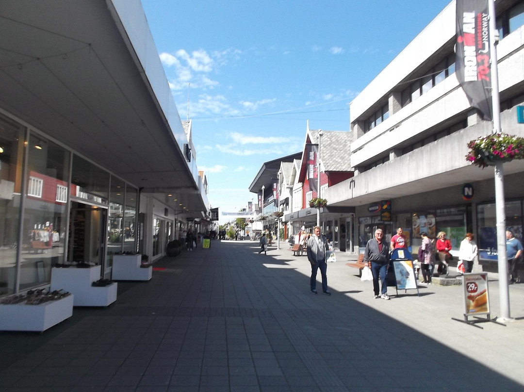 Haraldsgata street景点图片