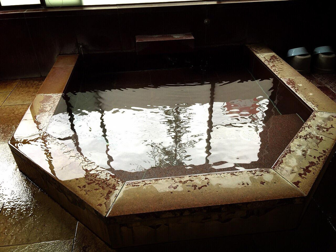 Sessokyo Onsen Kaikan景点图片