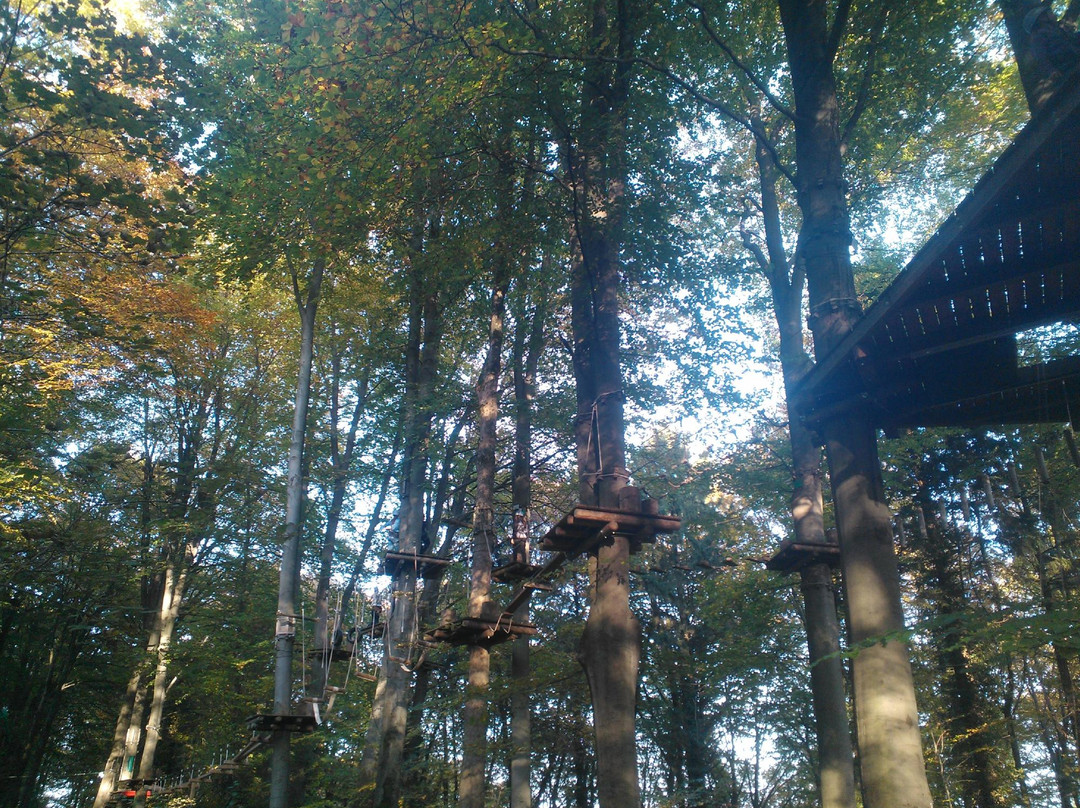 Waldseilpark Karlsruhe景点图片