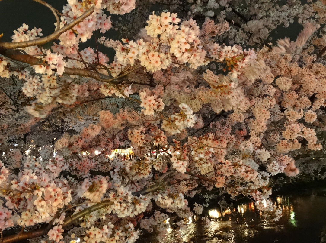 Shinsakai River Tsutsumi-各务原市必去景点