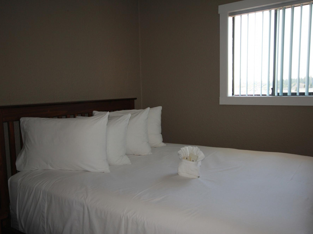 City Centre Suites
