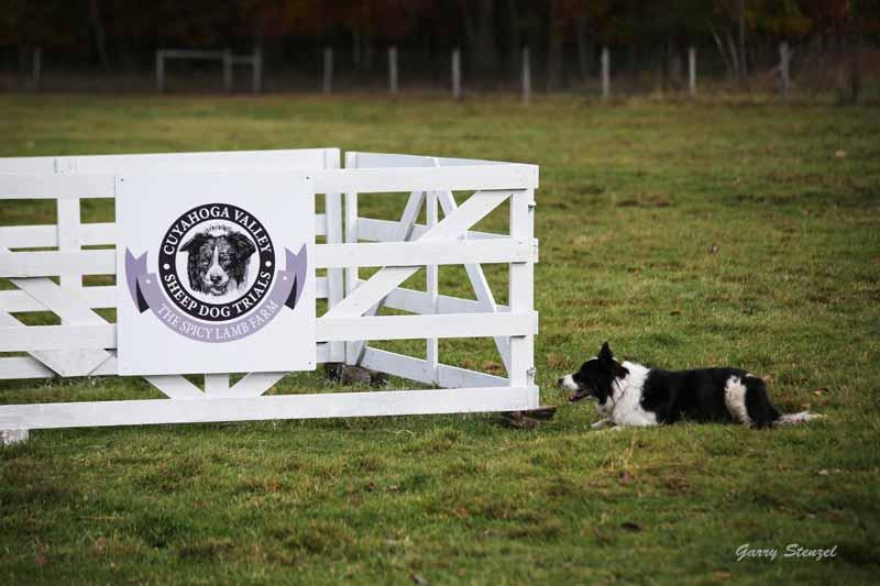 The Spicy Lamb Farm-Peninsula必去景点