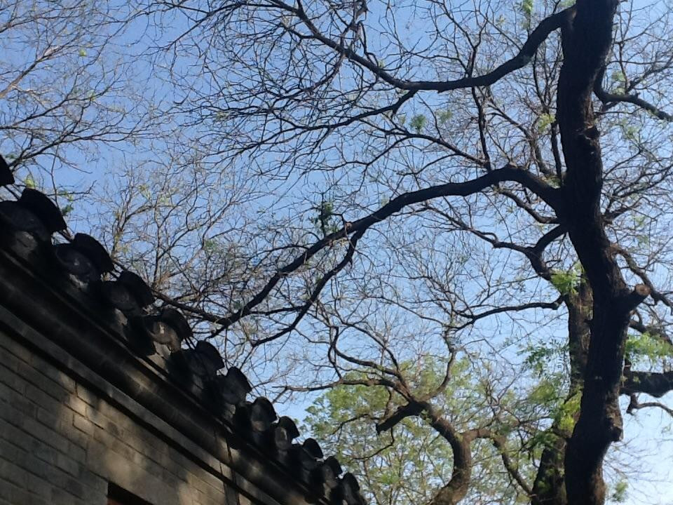 大跃啤酒-北京市必去景点