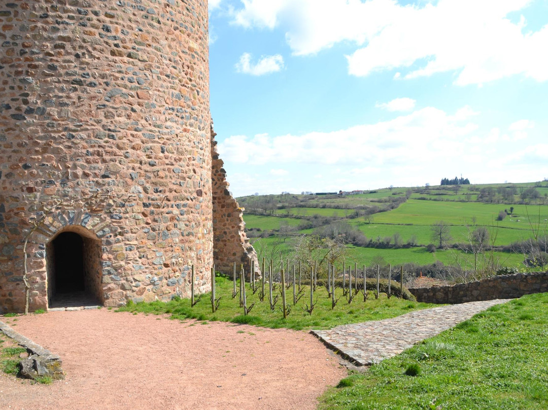 La forteresse de Saint-Maurice景点图片