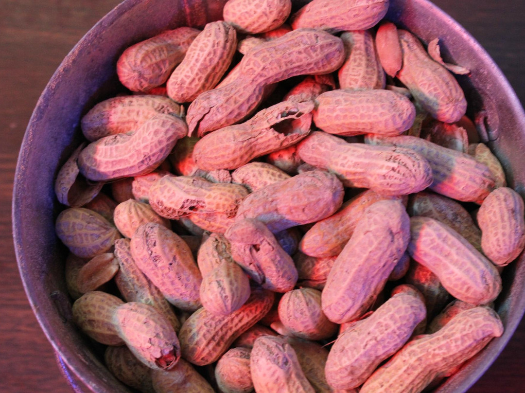 Mangum餐馆和美食-Backdoor Steak House