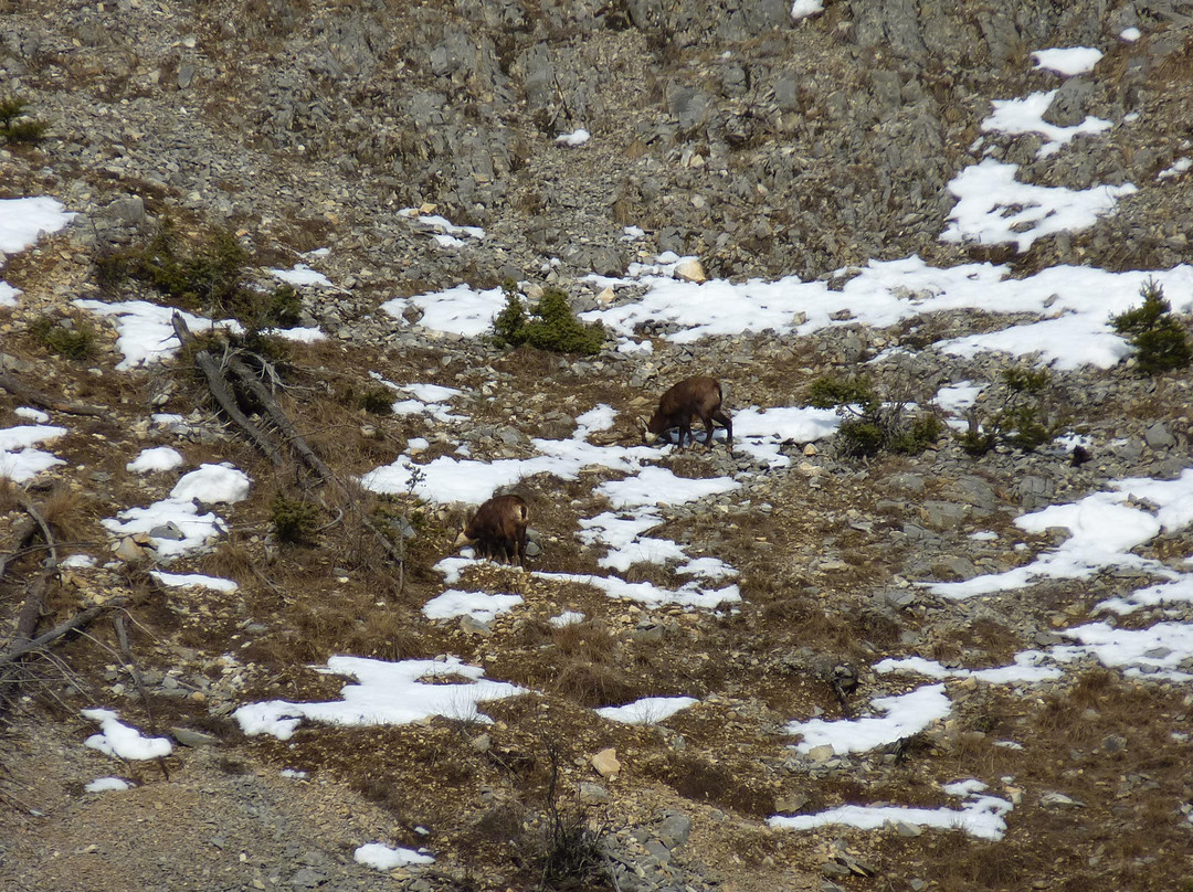 L'Attribut Rando Private Day Tours-Nevache必去景点
