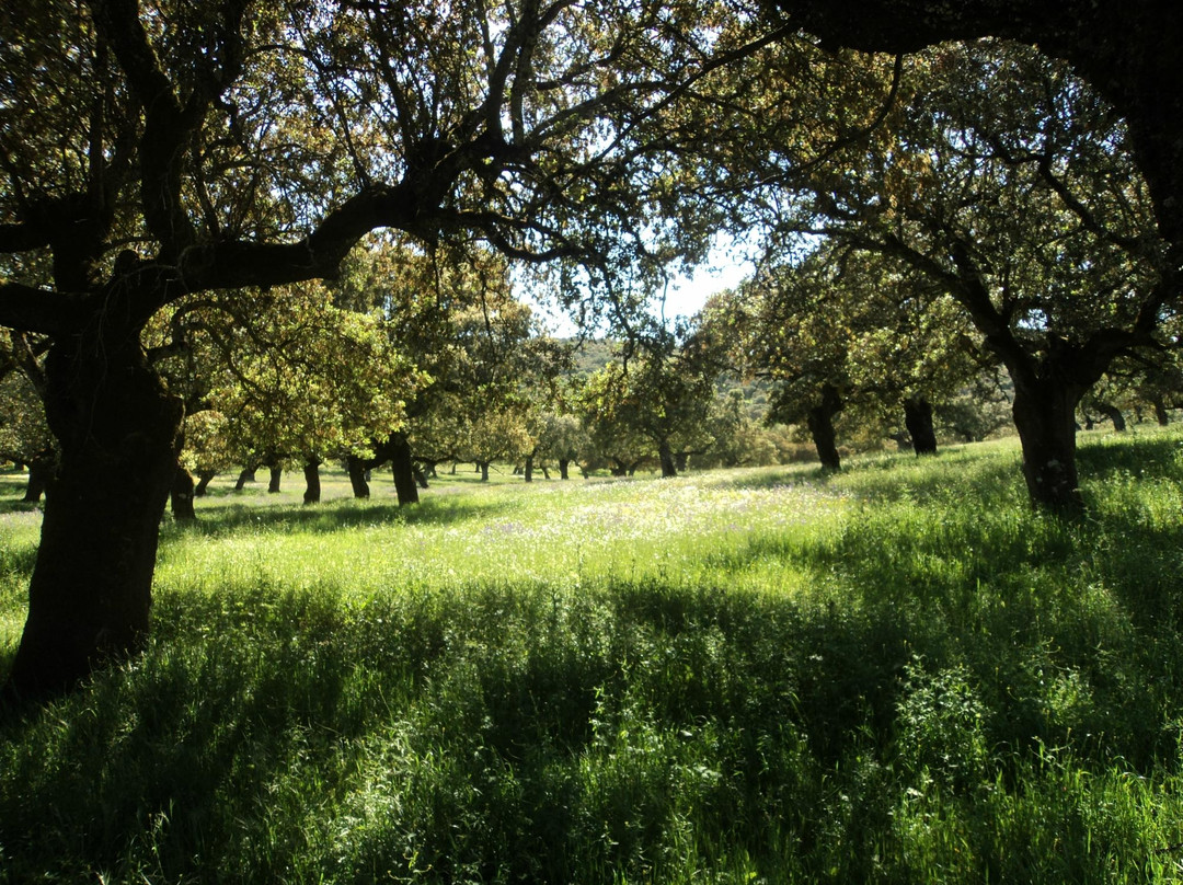 莫利诺德尔邦博乡村旅馆