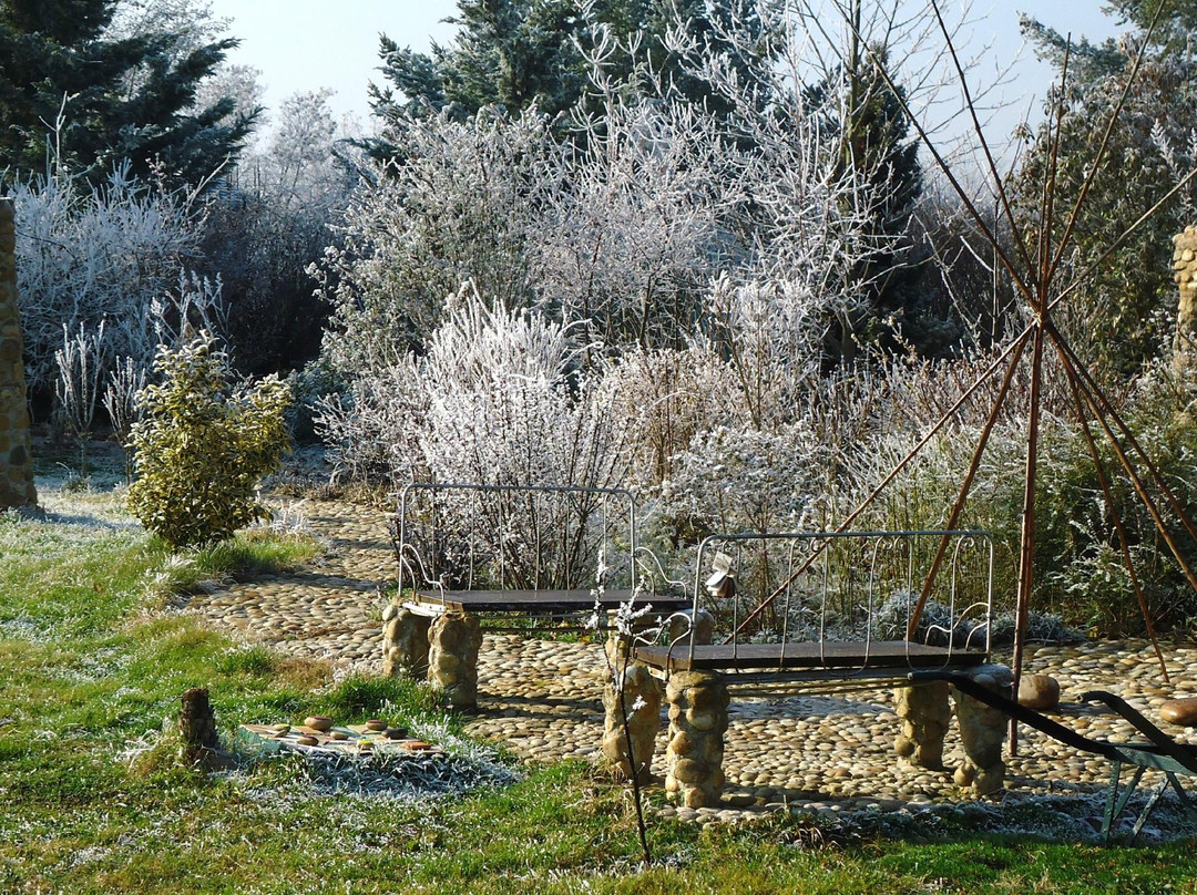 Jardin Zen景点图片