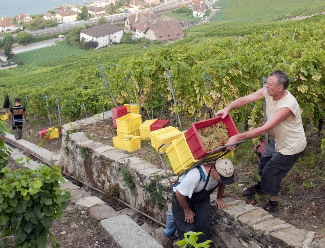 Domaine du Daley-吕特里必去景点