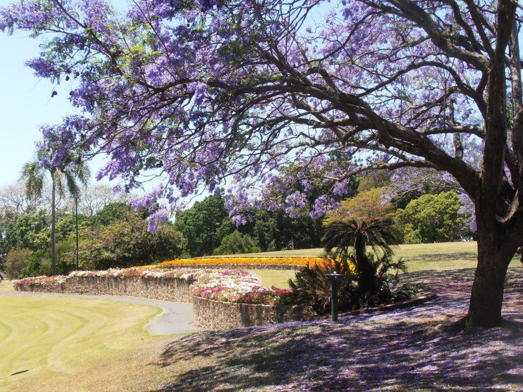 Maryborough Bed & Breakfast主图