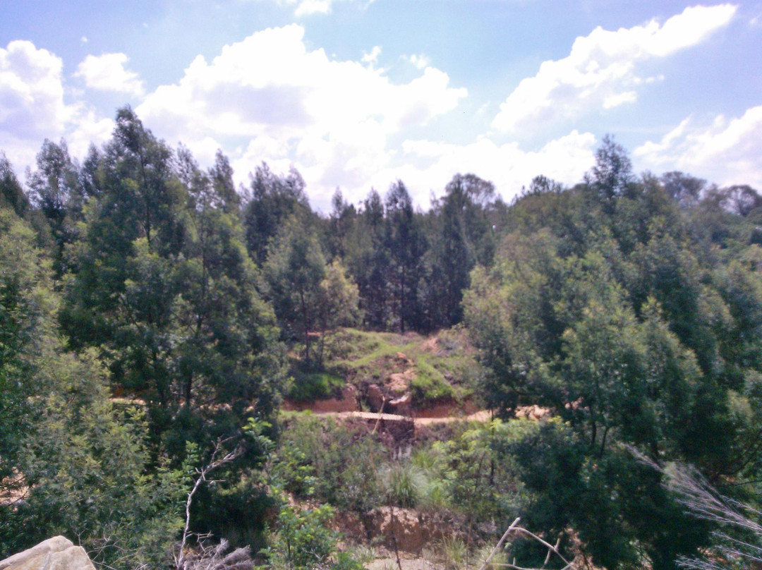 PwC Cycle Park-布莱恩斯顿必去景点