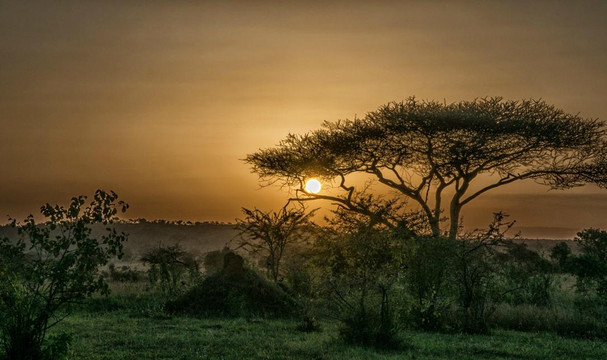 Elyon Tours - Day Tours-阿鲁沙必去景点