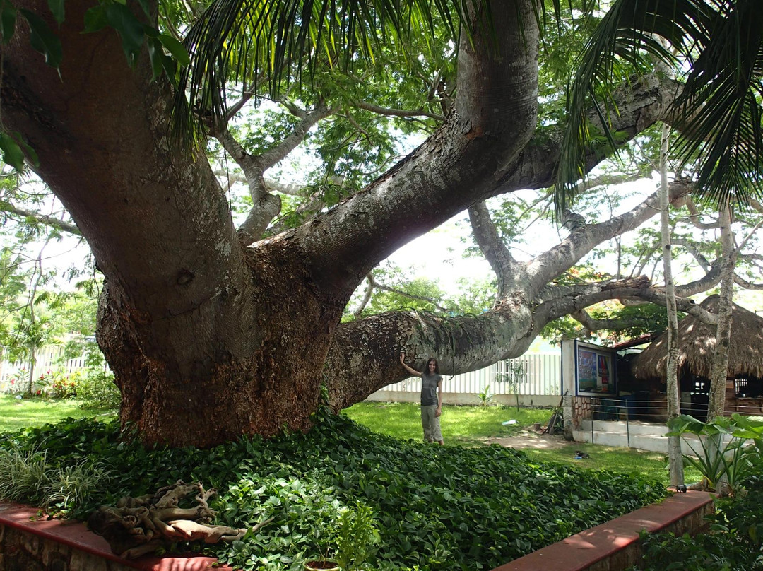 Mayan World Adventures-切图马尔必去景点