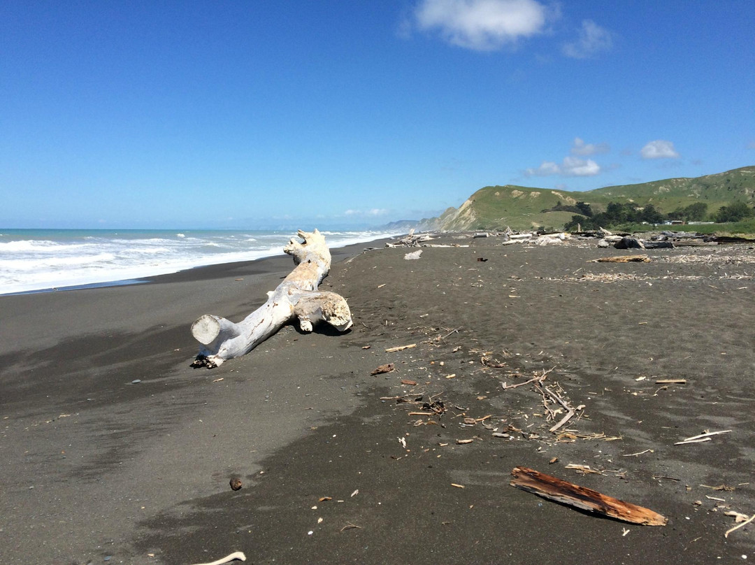 Whakamahia Beach-Wairoa必去景点