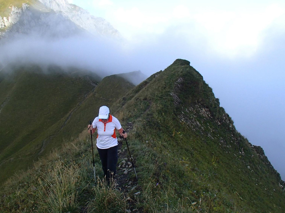Randonnée Aux Cornettes de Bise-La Chapelle-D'Abondance必去景点