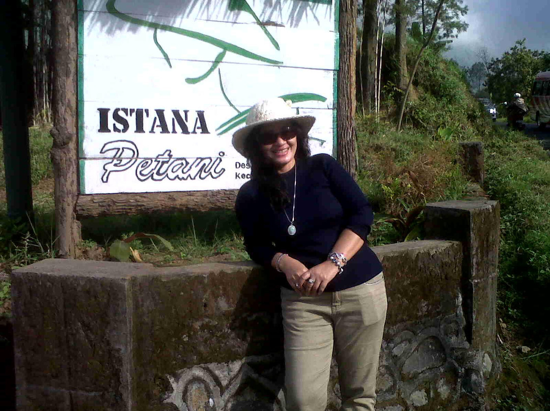 Istana Petani Homestay主图