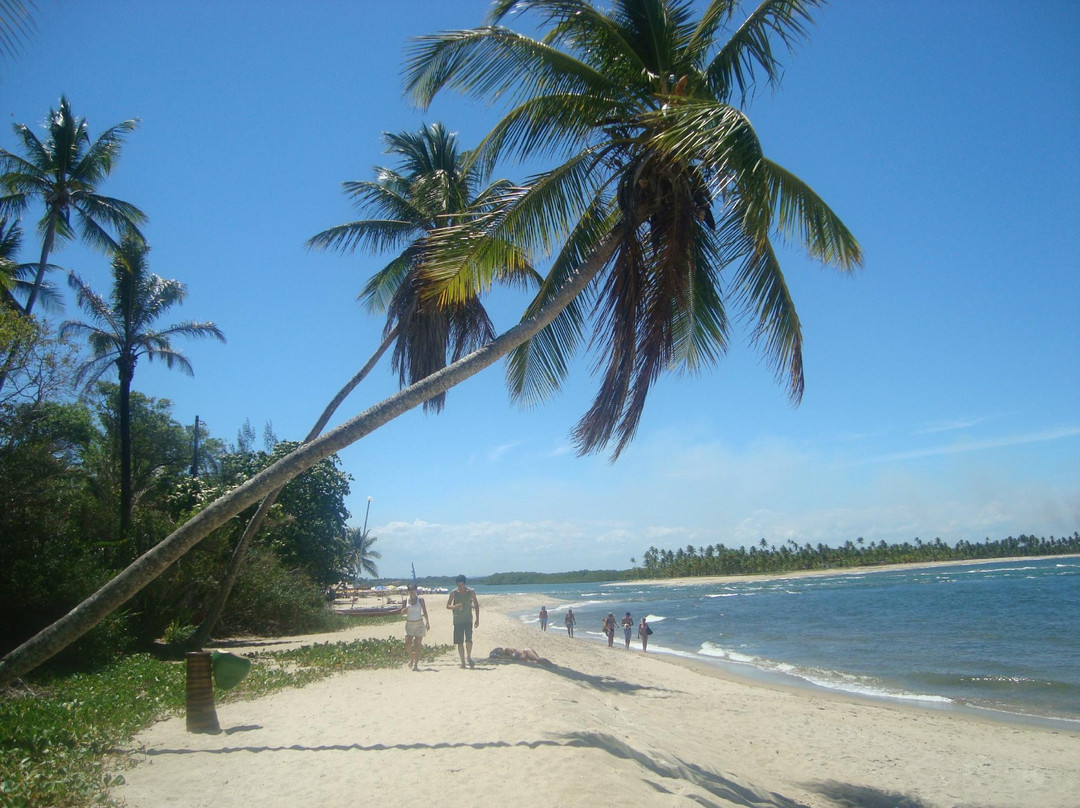 Praia Boca da Barra景点图片