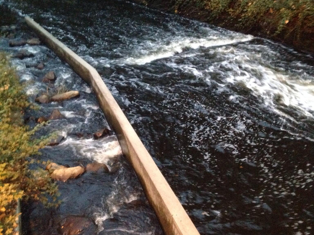 Burnaby Lake Regional Nature Park-本那比必去景点