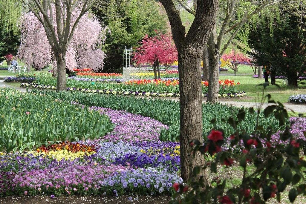 Tulip Top Gardens-Sutton必去景点