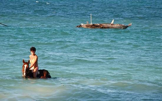 Maisha Mazuri Horse Riding Club-基万嘎必去景点