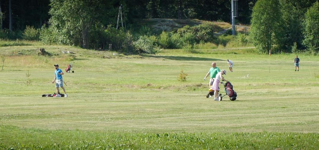 Hirvensalon Golf景点图片