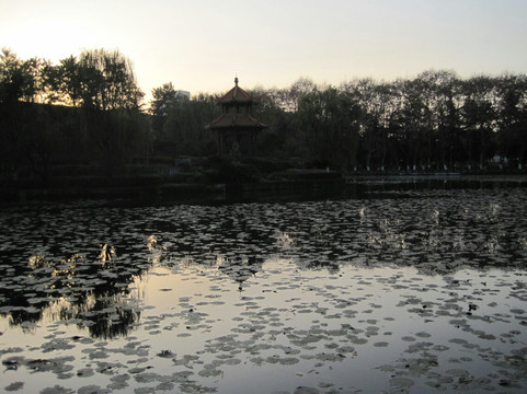 新都桂湖公园-成都必去景点