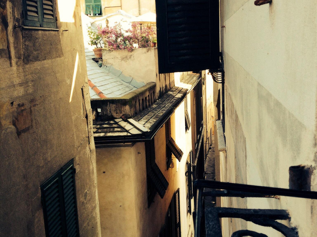 B&B Piccoli Leoni