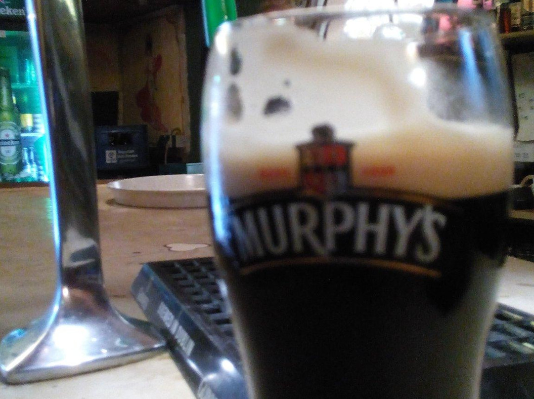 The Irish Pub Pforzheim景点图片