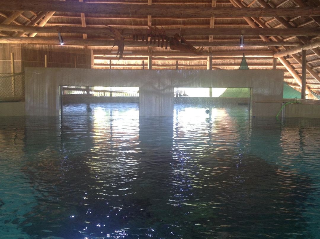 Florida Keys Aquarium Encounters-马拉松必去景点