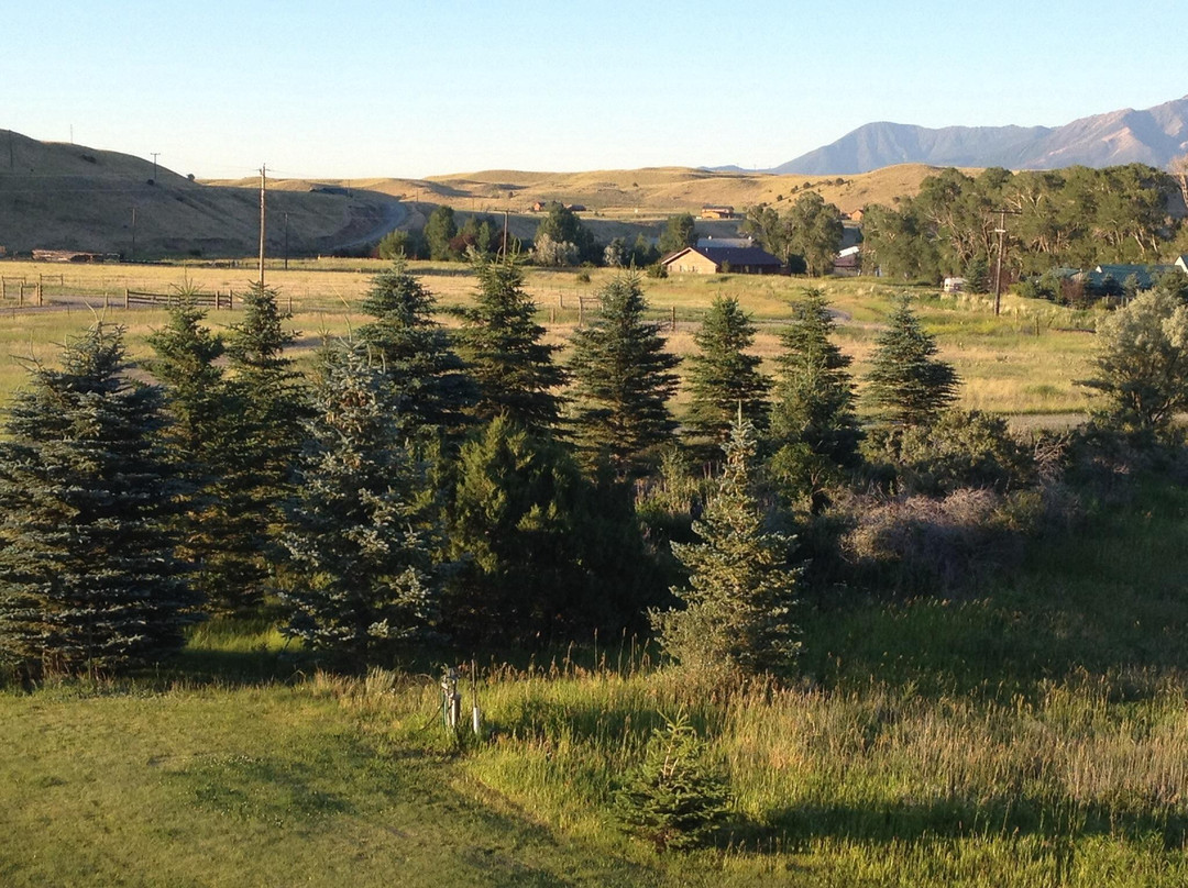 O'Carroll's Bed and Breakfast and Guest Cabin主图