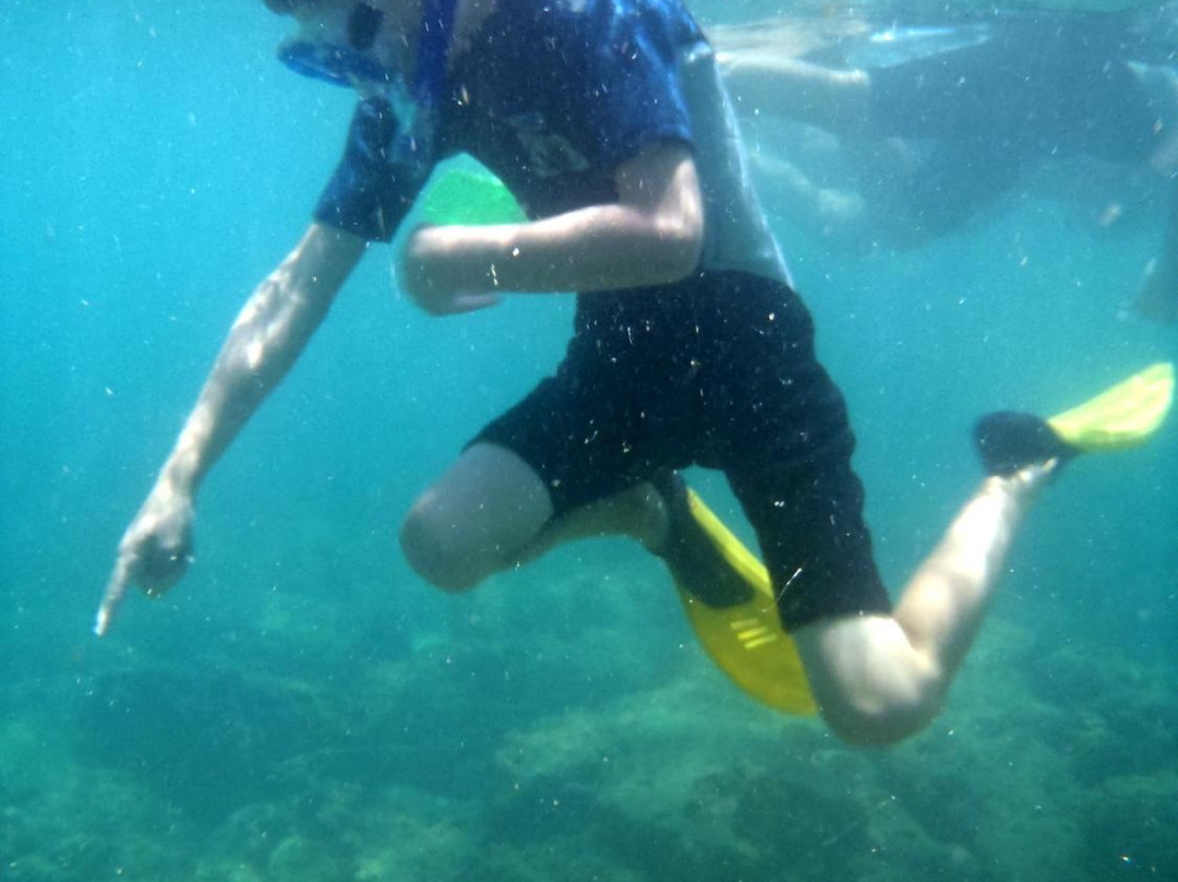 Old Caesarea Diving Center-凯撒利亚必去景点